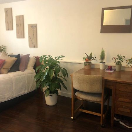 Quiet-Comfy 3 Bedroom Home On A Tree Lined Street In Kits Βανκούβερ Εξωτερικό φωτογραφία
